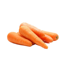 China washed fresh carrot wholesale price per ton for sale
